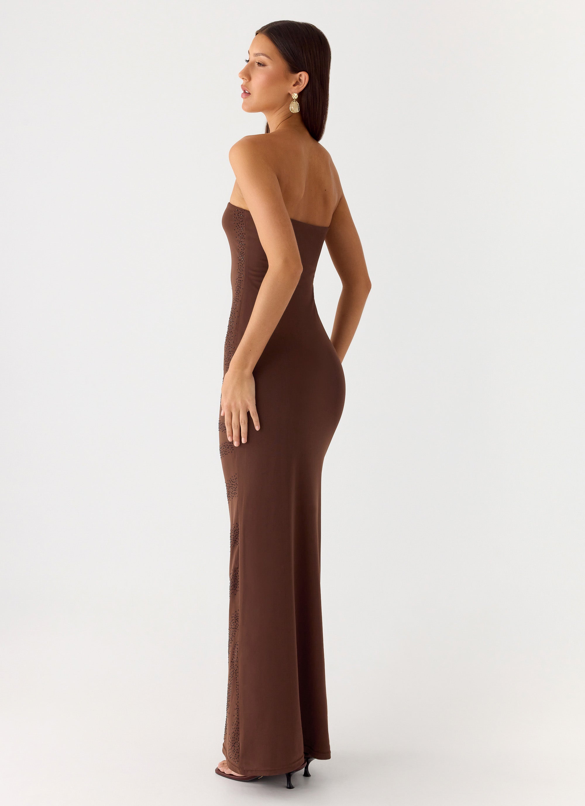 Belisse Beaded Mesh Maxi Dress