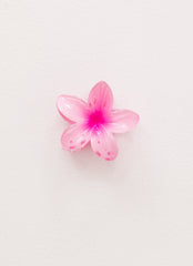 Daylight Hours Hair Clip