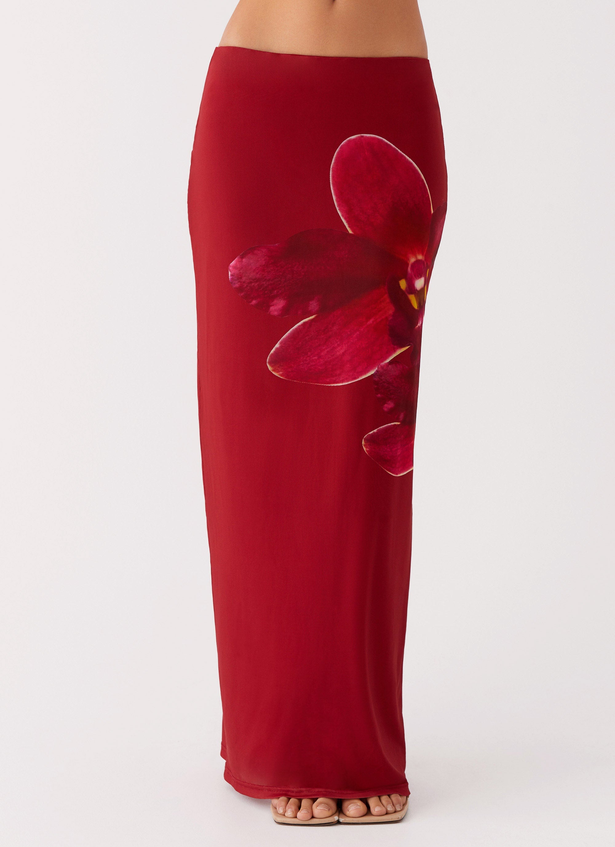 Waiting For Dawn Mesh Maxi Skirt