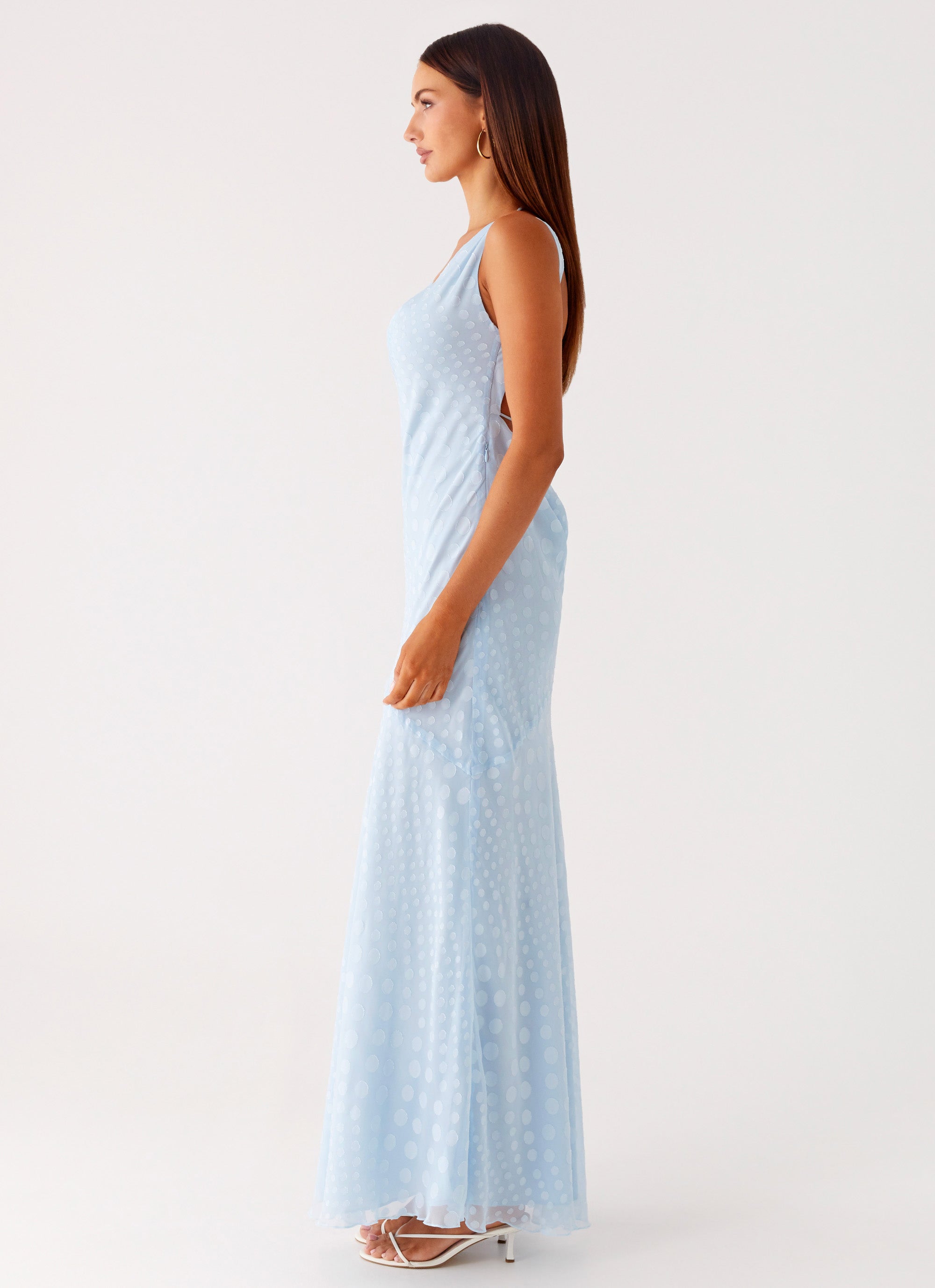 Sundance Chiffon Maxi Dress