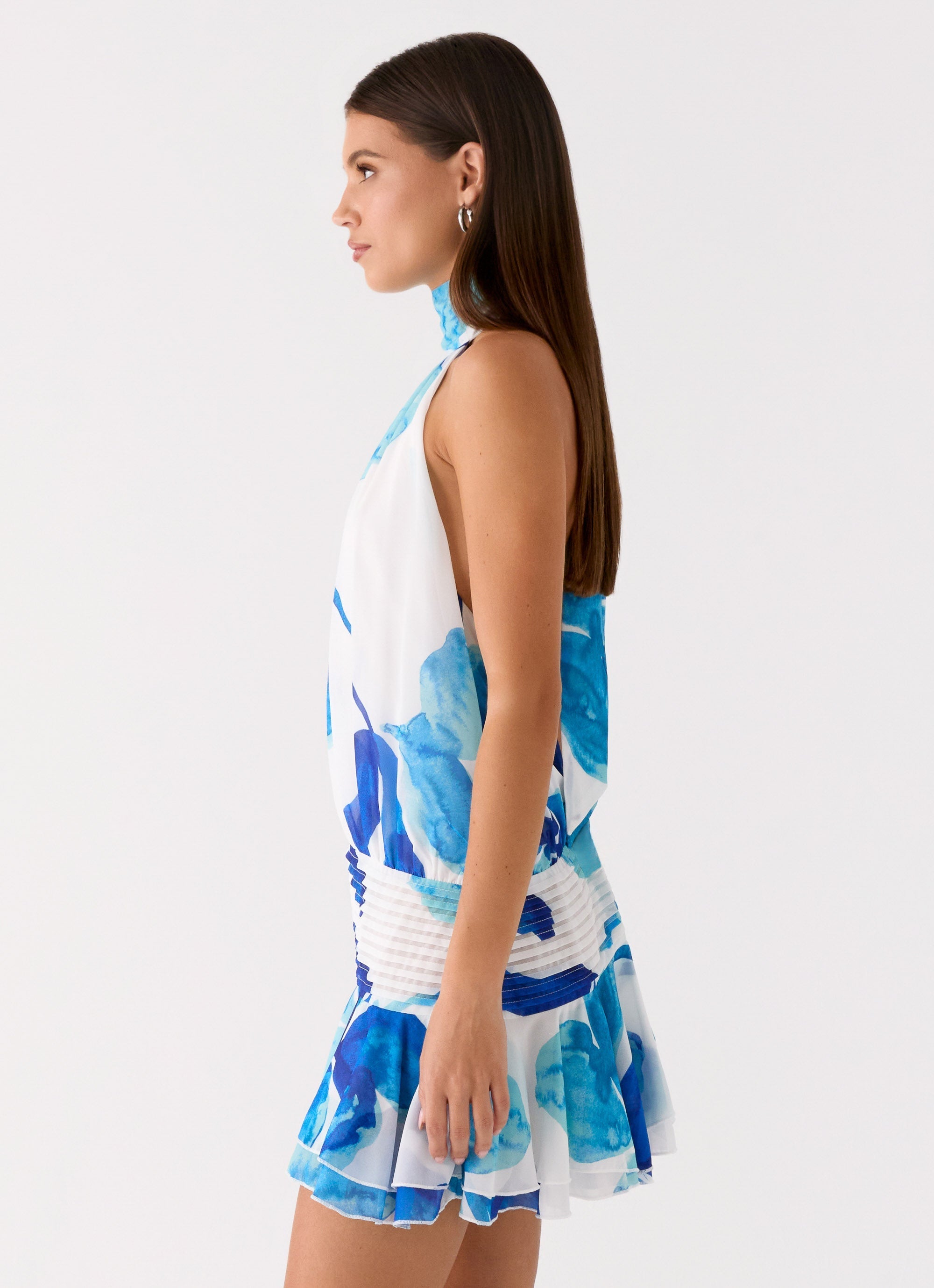 Willow Chiffon Mini Dress