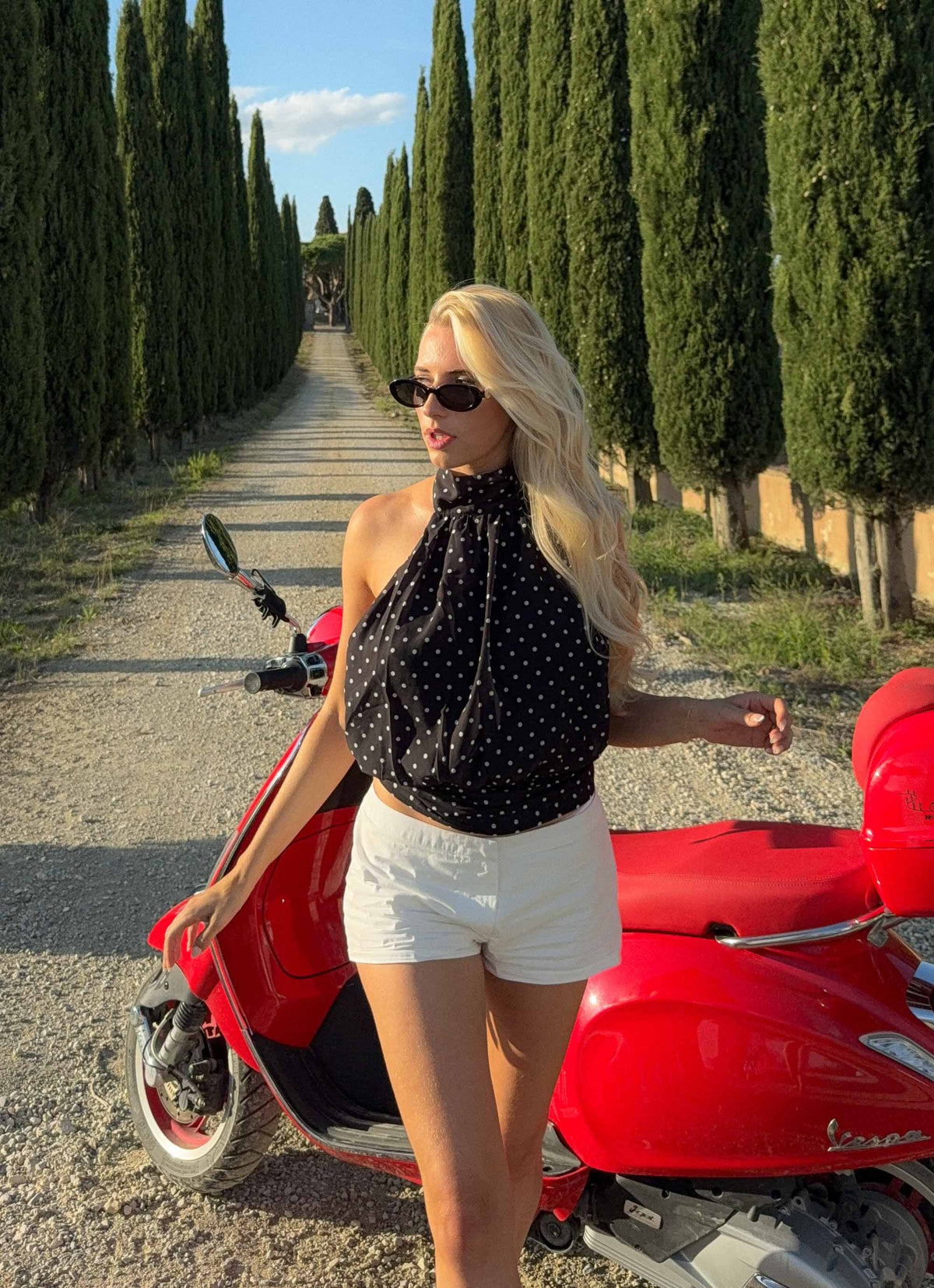 Willow Chiffon Top